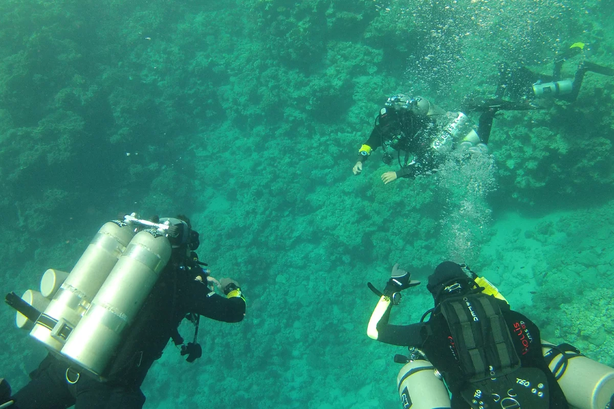 Private Scuba Diving Trip from Safaga Port photo