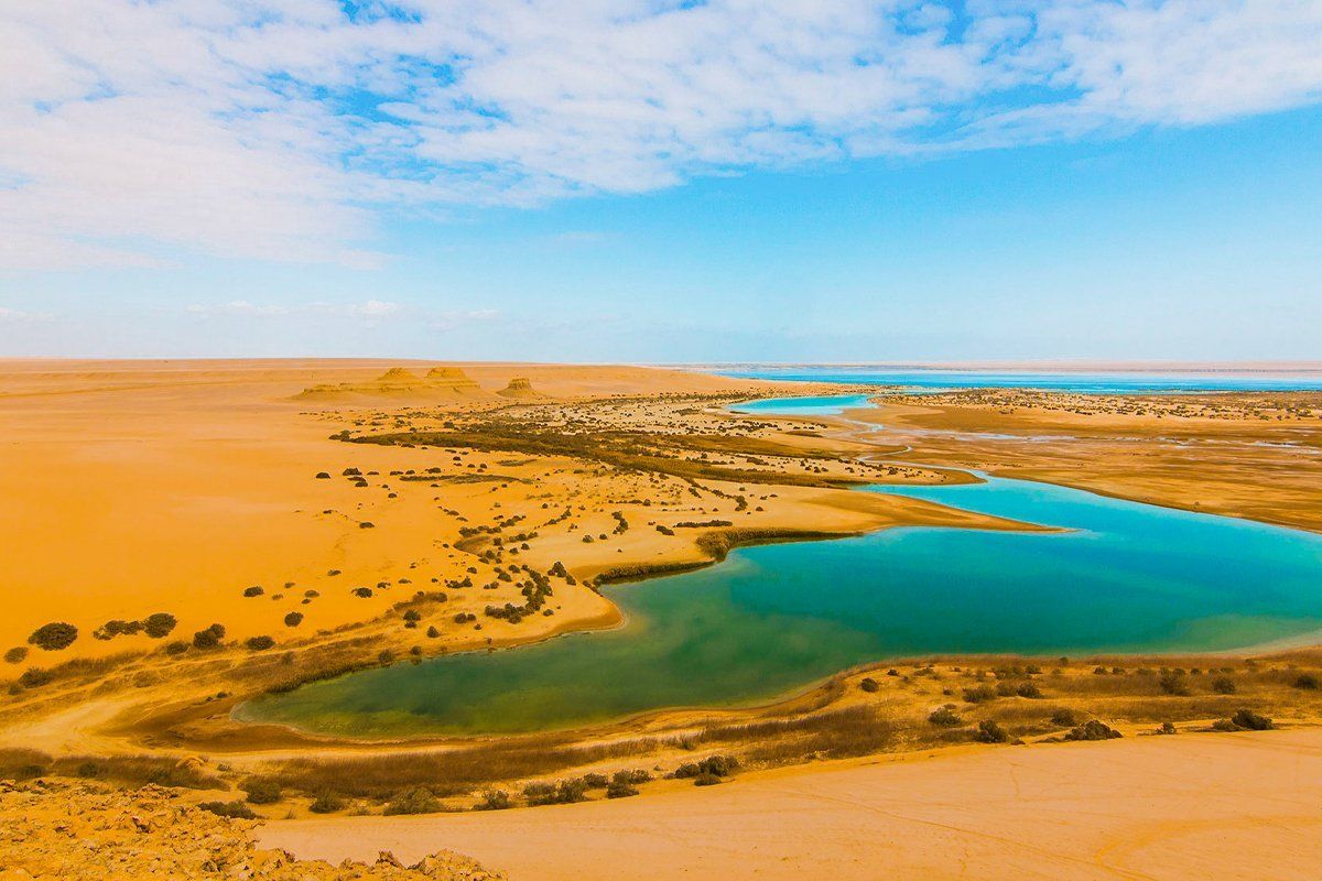 Over Day Tour To Wadi El Hitan & Safari In Fayoum From Cairo photo