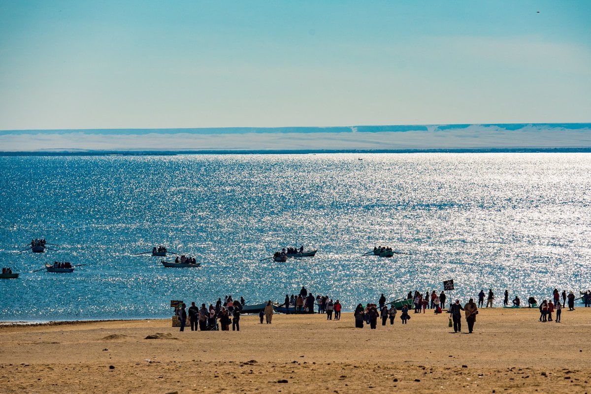 Over Day Tour To Wadi El Hitan & Safari In Fayoum From Cairo photo