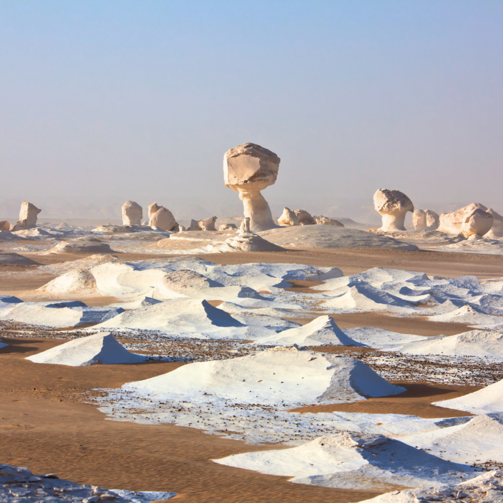 Overnight Tour To White Desert and Bahariya Oasis