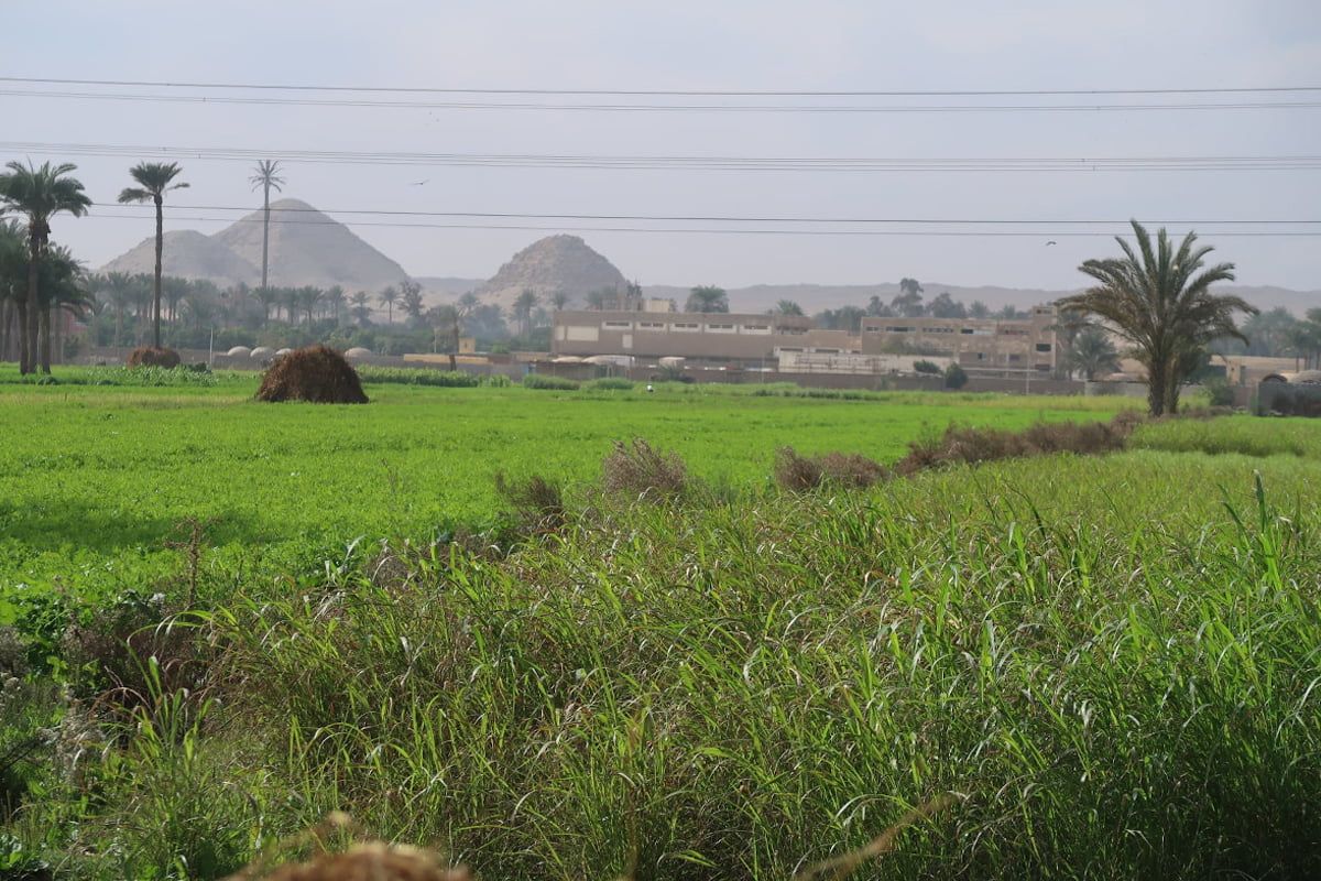 4 Days Cairo Tour Package photo