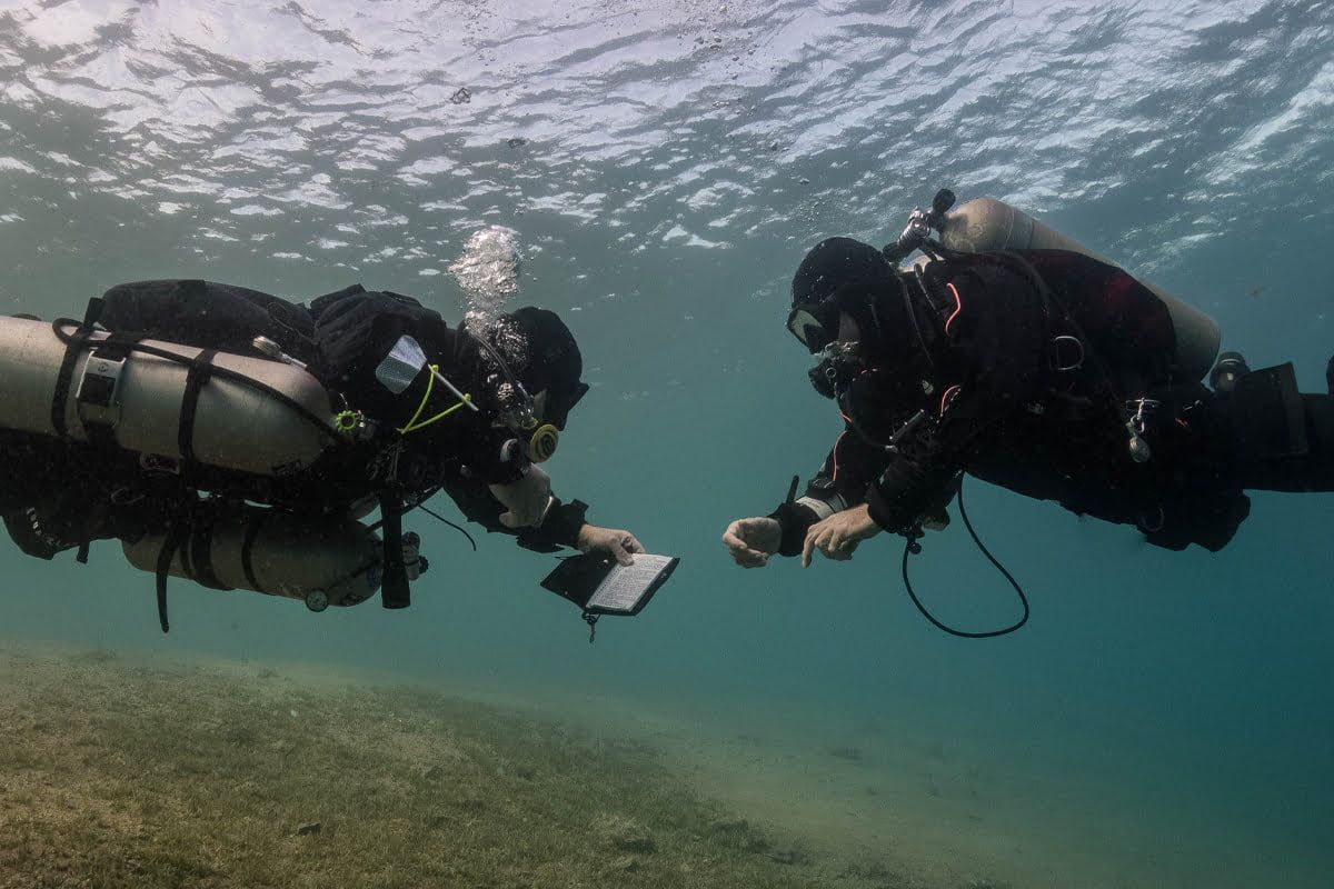 Snorkeling Trip At Port Ghalib Marina from Marsa Alam photo