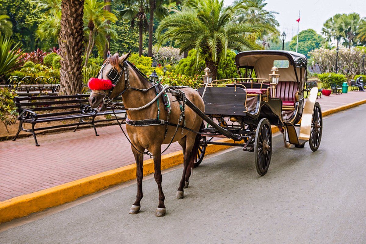 Aswan City Tour in Horse Carriage photo