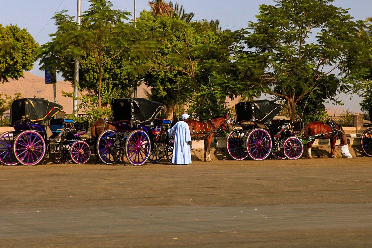 Aswan City Tour in Horse Carriage photo