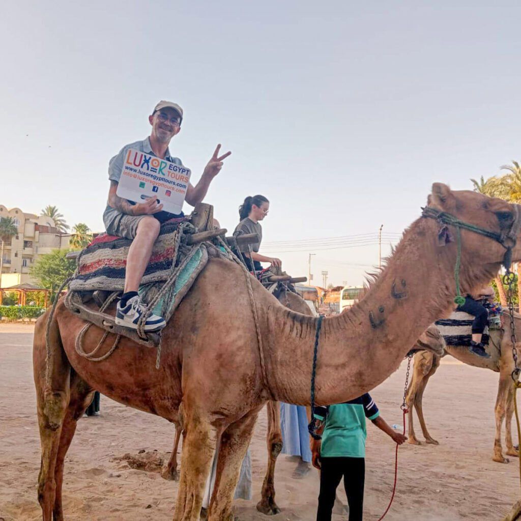 8 Days Cairo & Alexandria & Luxor & Aswan by Train