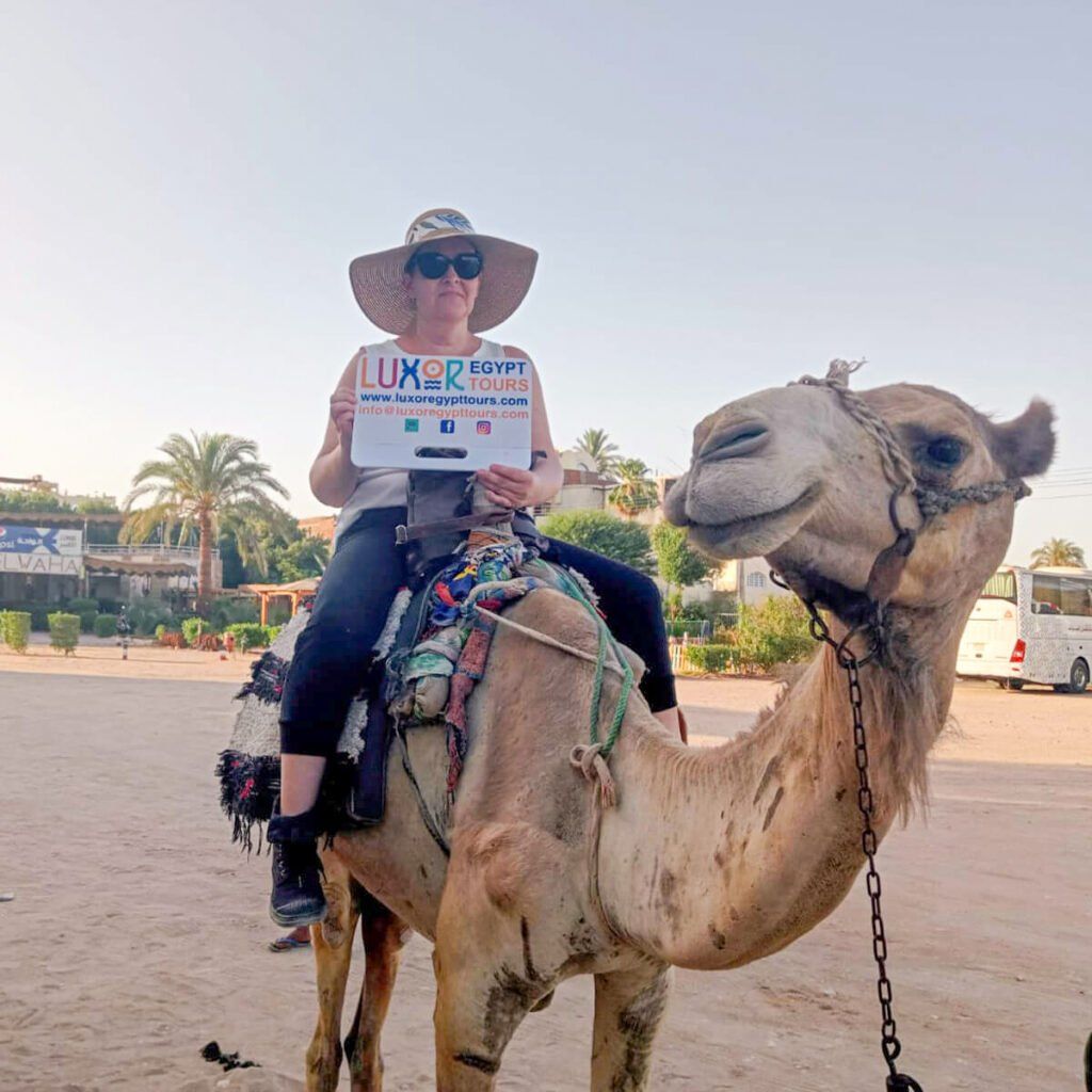 3 Days Cairo & Alexandria Tour Package