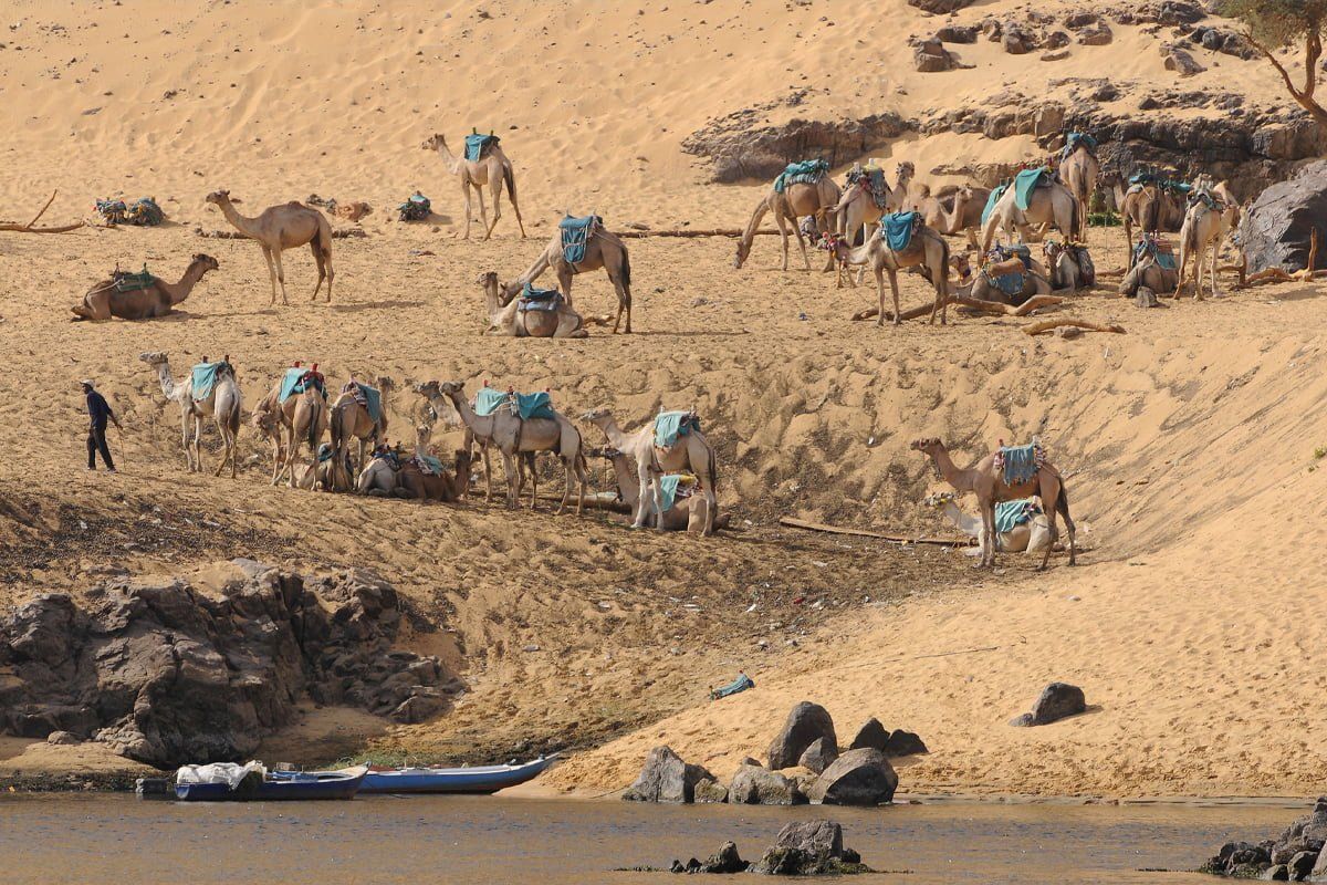2 Days Aswan and Abu Simbel From Luxor photo