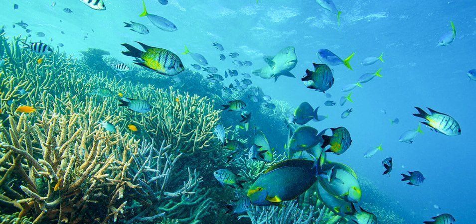How to Make the Most Out of Your Tours to Egypt