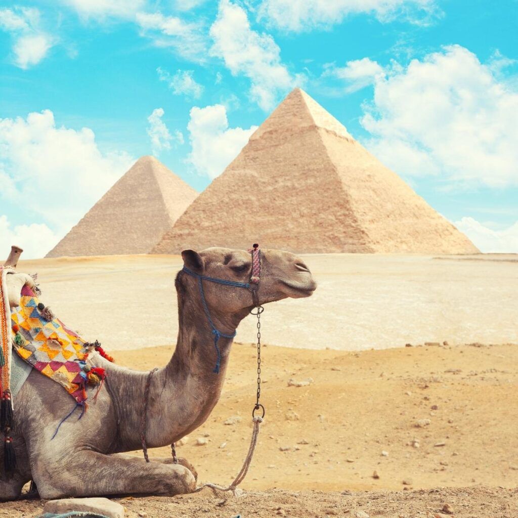 Tour to Giza Pyramids And Egyptian Museum & Old Cairo