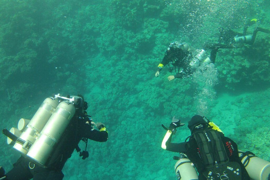Private Scuba Diving Trip from Safaga Port