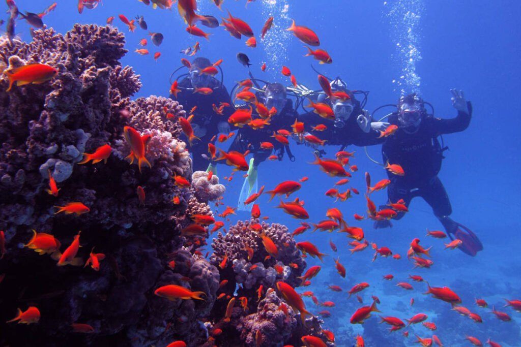 Snorkeling at Mahmya Island