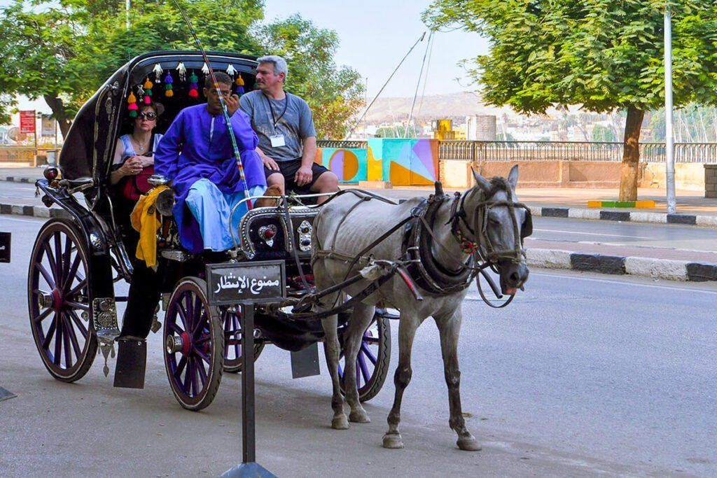 Aswan City Tour in Horse Carriage