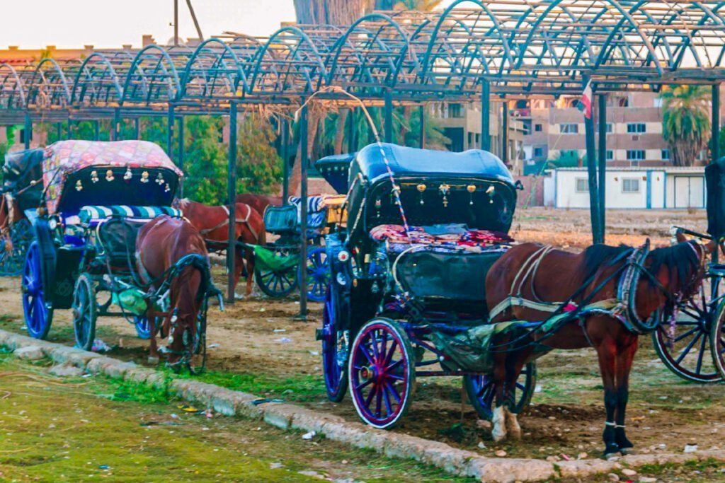 Luxor City tour by Horse Carriage