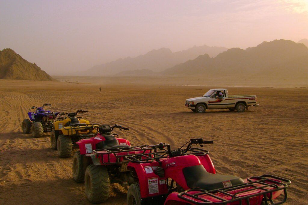 Quad biking with Camel ride and Bedouin dinner