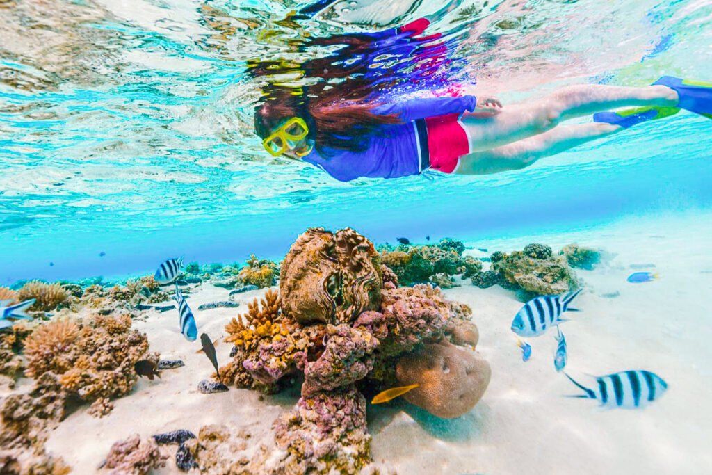 Scuba diving Marsa Alam