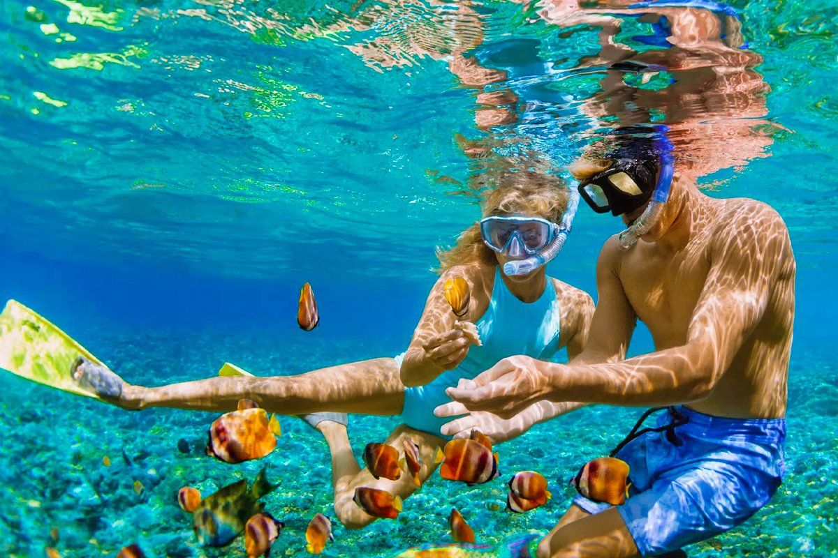 Private Scuba Diving Trip from Safaga Port photo