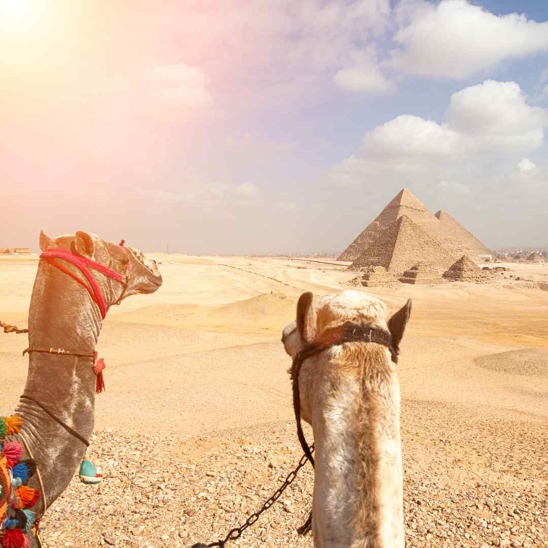 The Best Places to Visit in Egypt for Every Traveler!