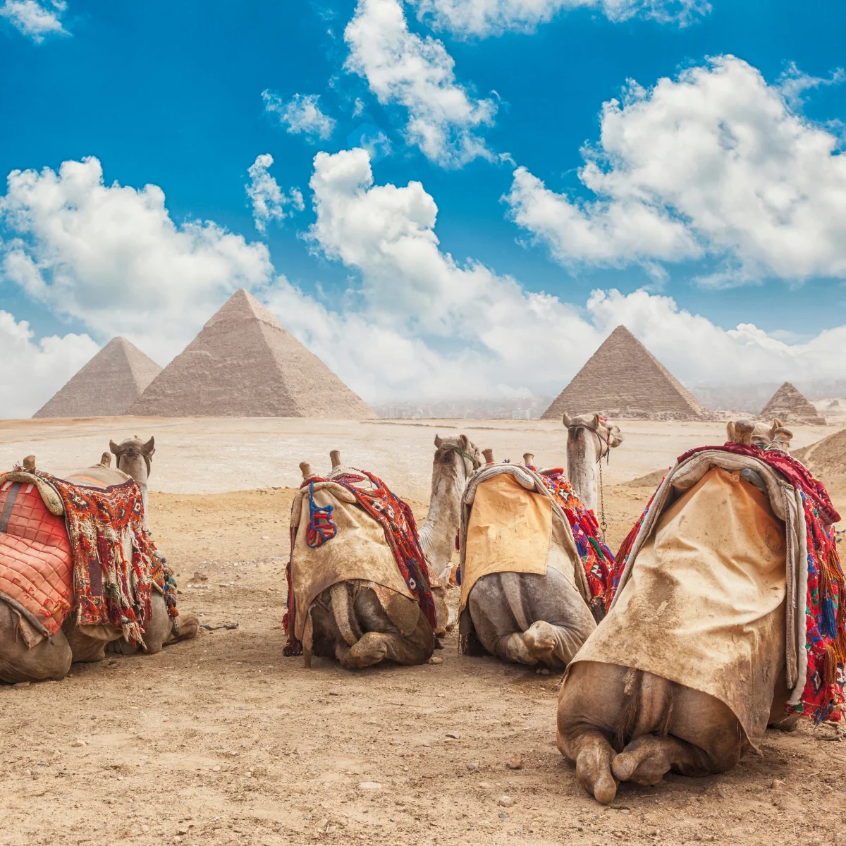 Giza-plateau-panorama