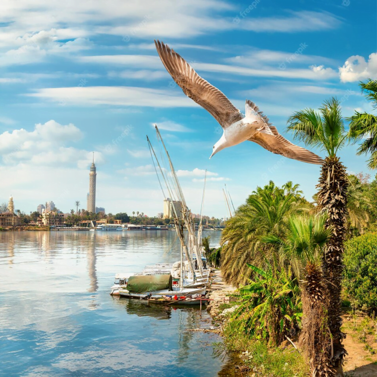 Felucca Ride on the Nile in Cairo