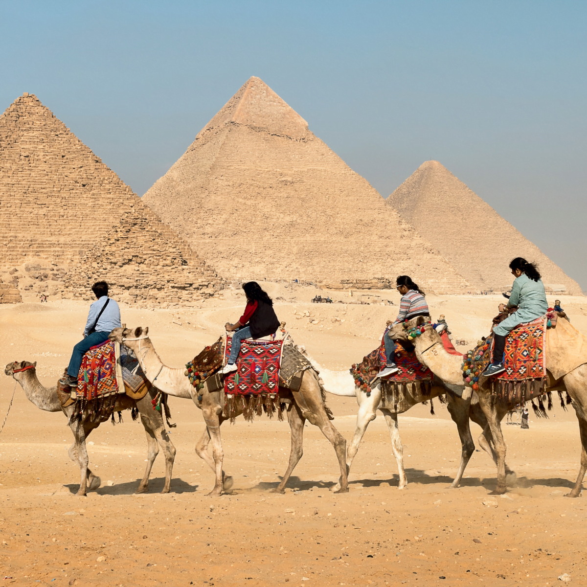 tourists-are-enjoying-a-camel-ride-near-the-iconic-pyramids-of-giza
