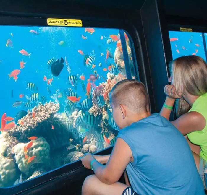 Picture-from-the-glass-submarine