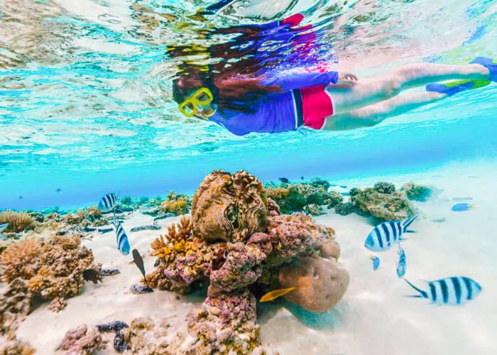 Snorkeling-Trip