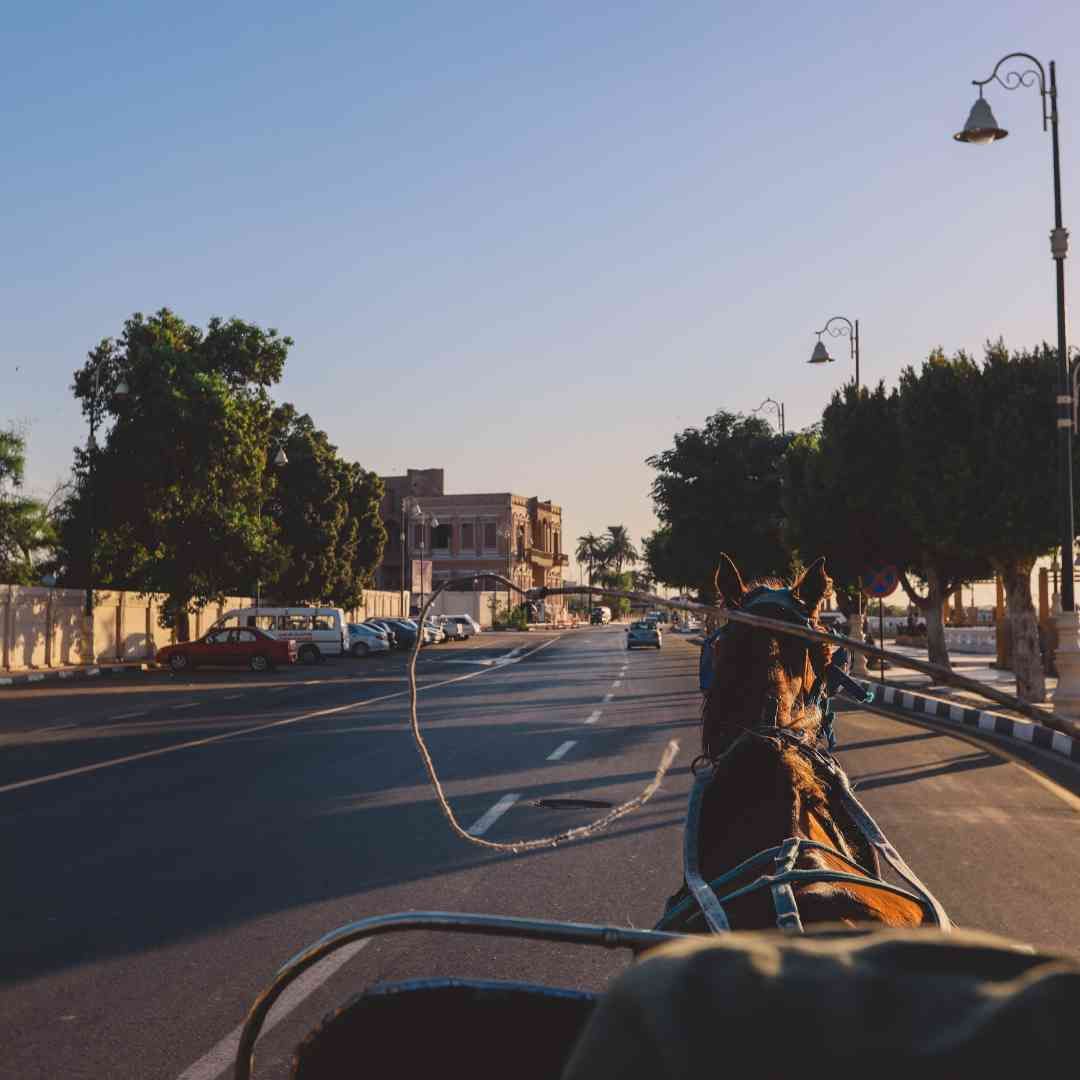 Luxor Horse Carriage Tour