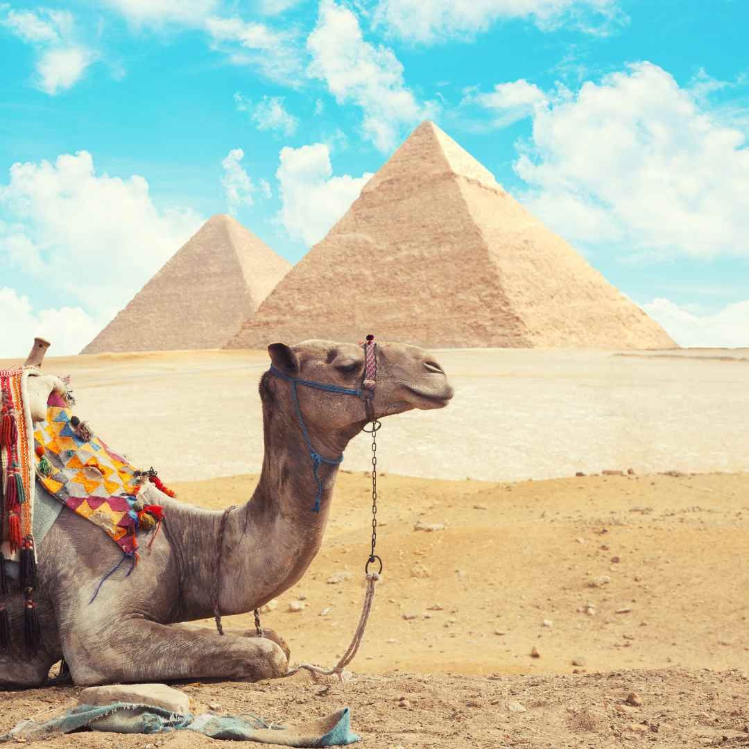 Is it Safe to Travel to Egypt