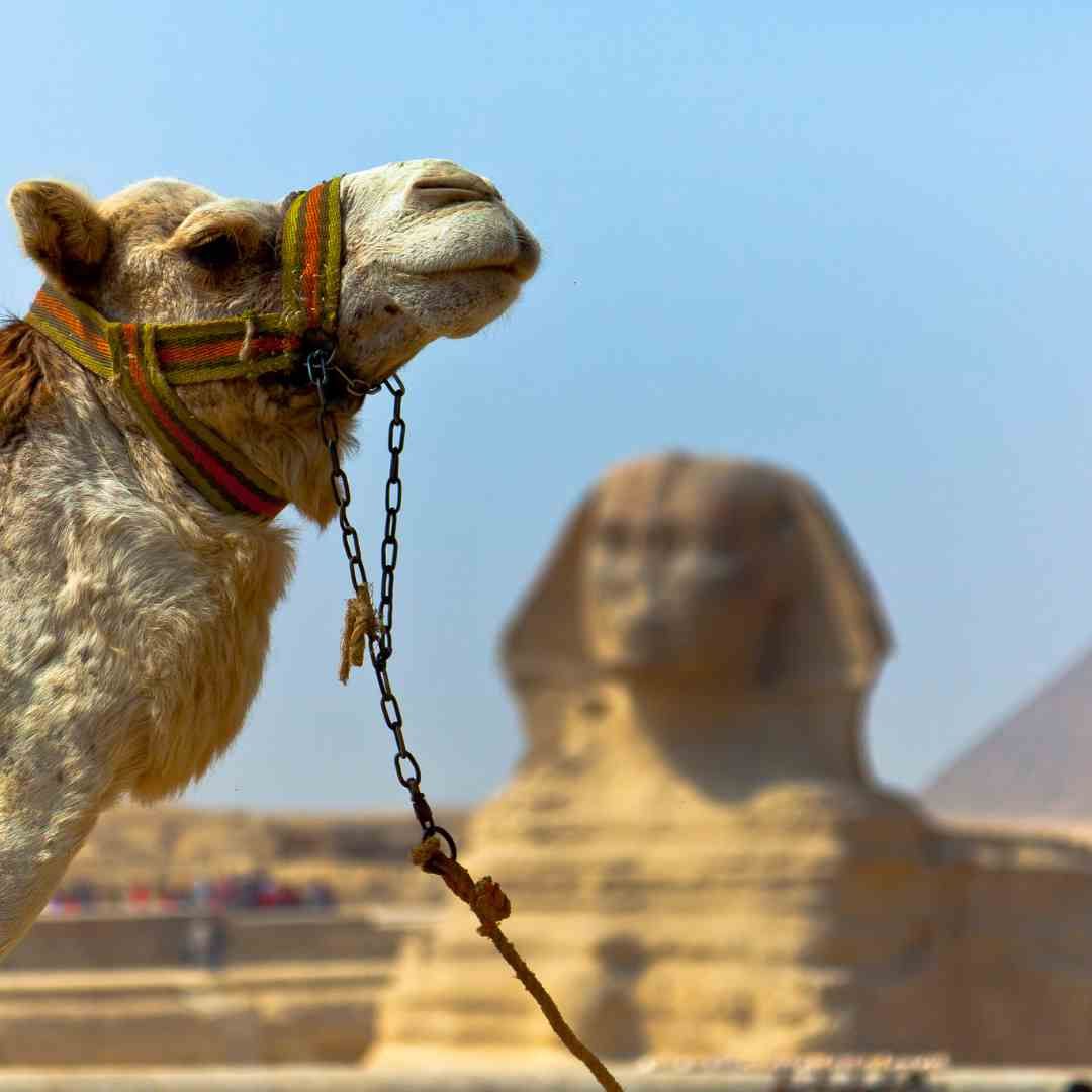 travel to Egypt